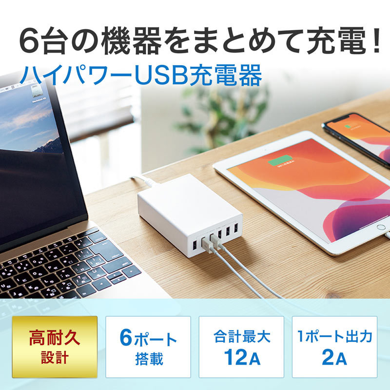 SANWA SUPPLY（サンワサプライ） USB充電器 6ポート 合計12A ホワイト