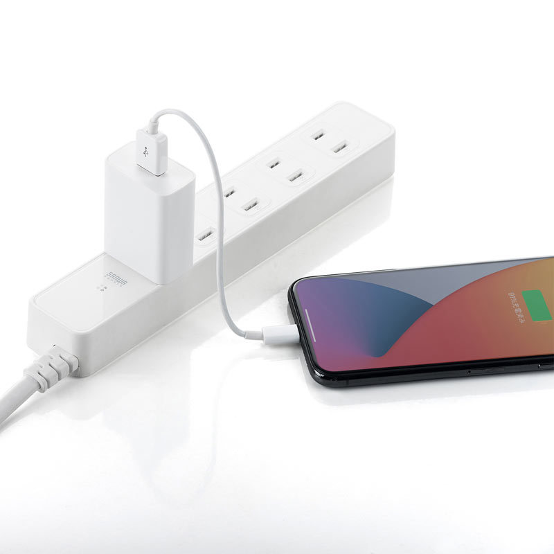 SANWA SUPPLY（サンワサプライ） USB充電器 1A ホワイト（ACA-IP86W