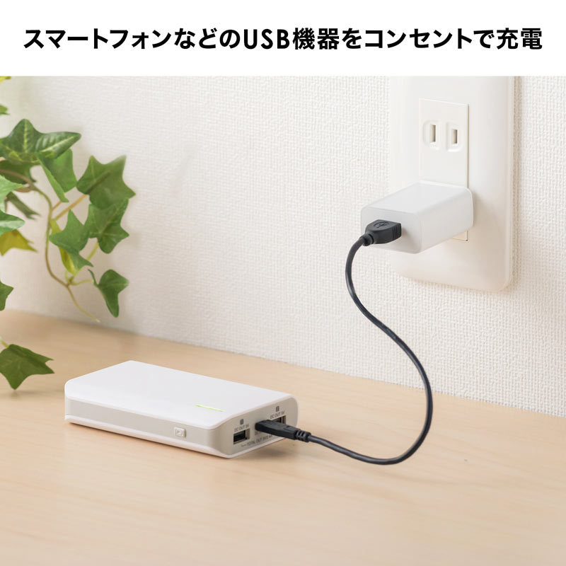 SANWA SUPPLY USB充電器 1A ホワイト（ACA-IP86W） : サンワ