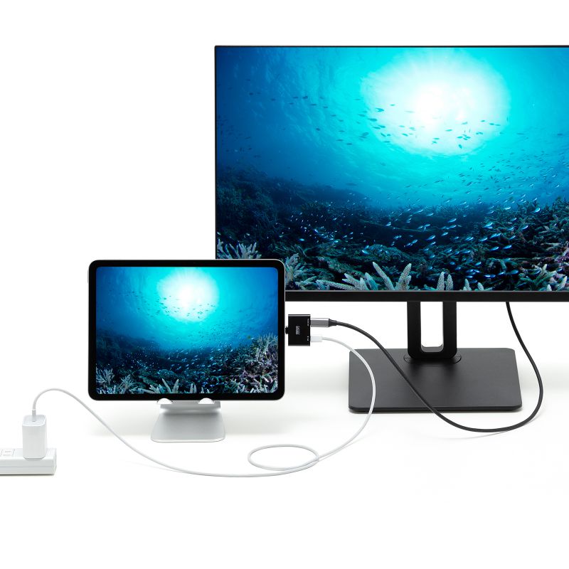 SANWA SUPPLY（サンワサプライ） USB Type-C 拡張アダプタ 直挿し AR