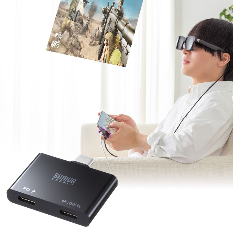 SANWA SUPPLY（サンワサプライ） USB Type-C 拡張アダプタ 直挿し AR