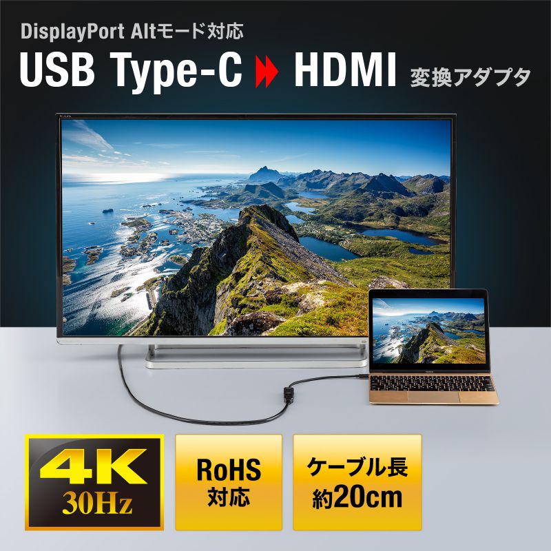 SANWA SUPPLY（サンワサプライ） USB Type C-HDMI変換アダプタ 4K/30Hz