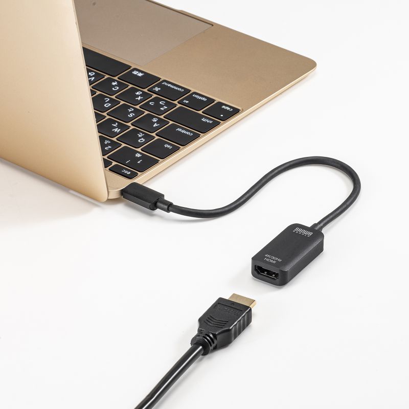 SANWA SUPPLY（サンワサプライ） USB Type C-HDMI変換アダプタ 4K/30Hz
