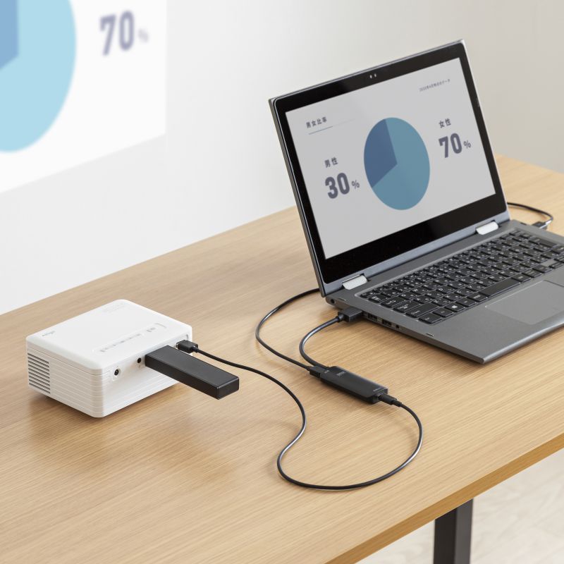 SANWA SUPPLY（サンワサプライ） HDMI-Type-C 変換アダプタ HDMI USB-C