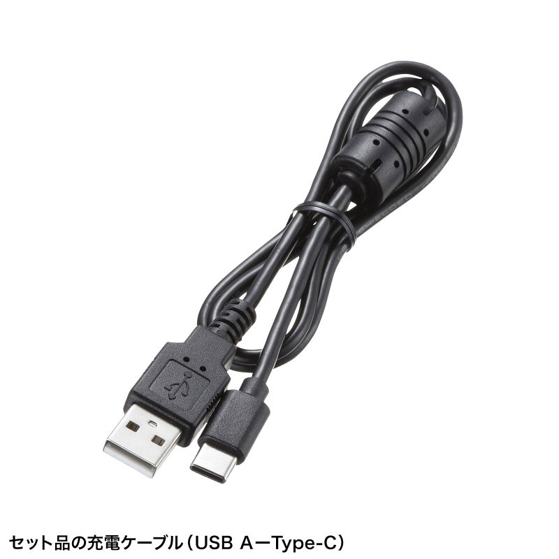 SANWA SUPPLY（サンワサプライ） ファイバースコープ 工業用内視鏡