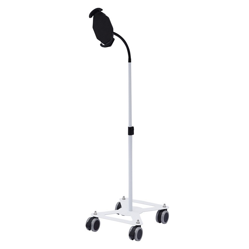 iPad 本体とスタンドセット SANWA SUPPLY（サンワサプライ） iPad スタンド タブレットスタンド