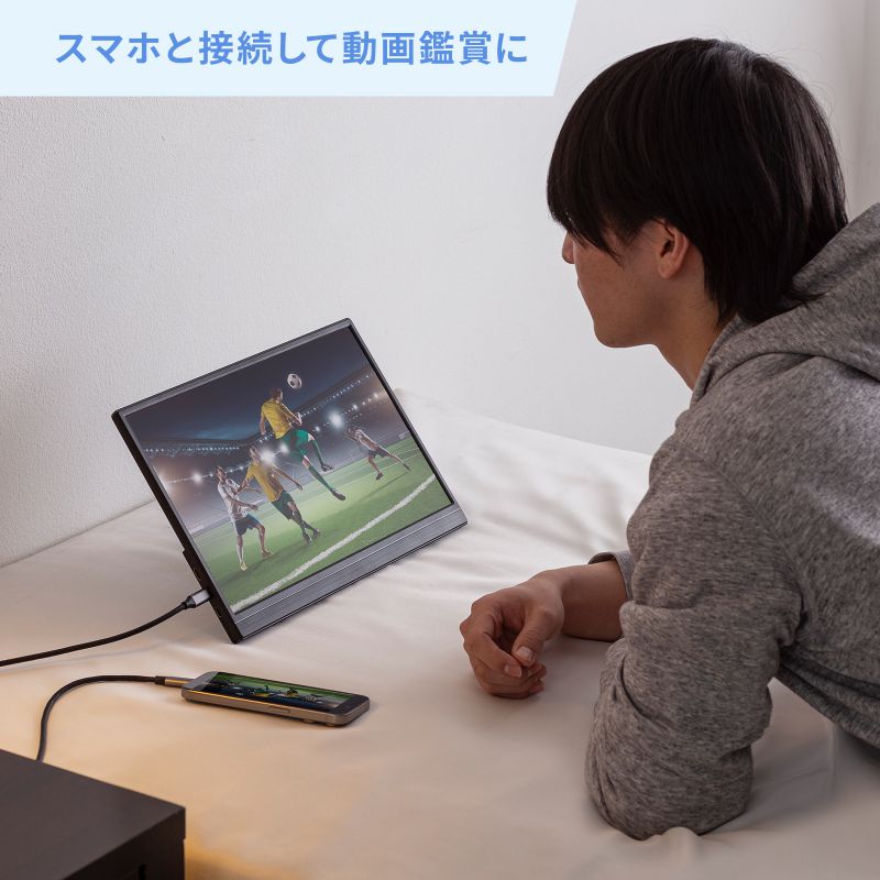 SANWA SUPPLY（サンワサプライ） モバイルモニター 15.6 スタンド一