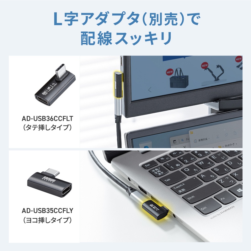 SANWA SUPPLY（サンワサプライ） モバイルモニター 14インチ スタンド