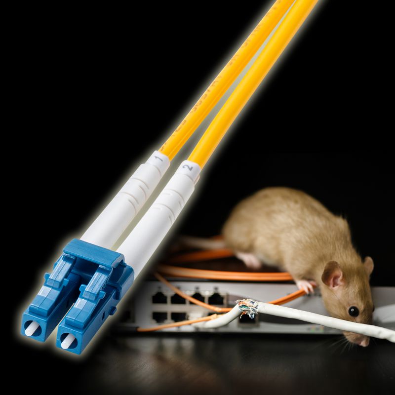 ガイヒハジ ガイハジ コネクタ TS SC LG S 光ファイバー まとめ売り ガイヒハジ ガイハジ コネクタ TS SC LG S 光ファイバー まとめ売り 光