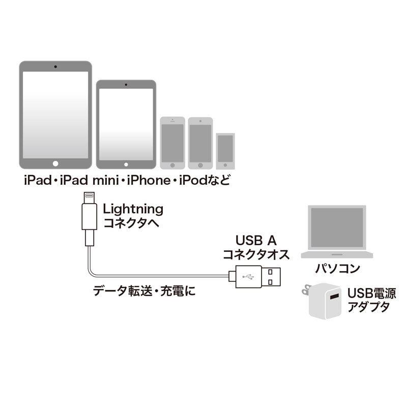 サンワサプライ ライトニングケーブル ホワイト 2m（KB-IPLT20K2W）｜sanwadirect｜02