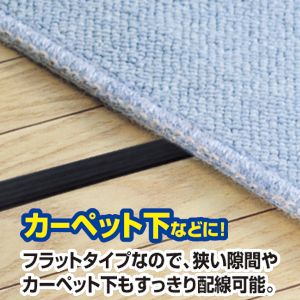 SANWA SUPPLY（サンワサプライ） フラットHDMIケーブル 10m ブラック