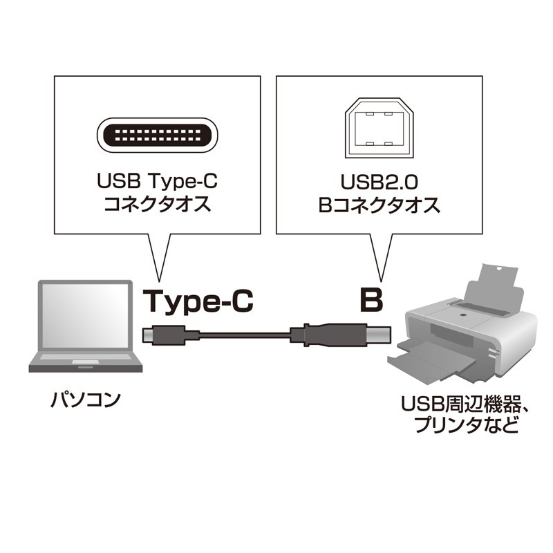 Type-C USB ケーブル Bコネクタ-Type Cケーブル USB2.0 3m（KU-CB30）｜sanwadirect｜02