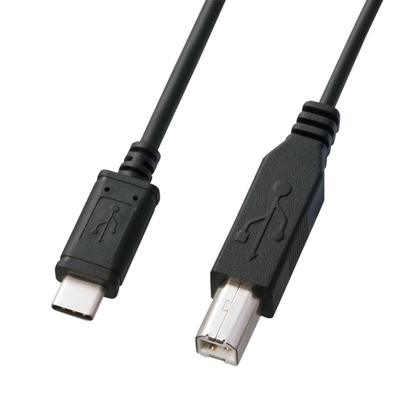 Type-C USB ケーブル Bコネクタ-Type Cケーブル USB2.0 3m（KU-CB30）