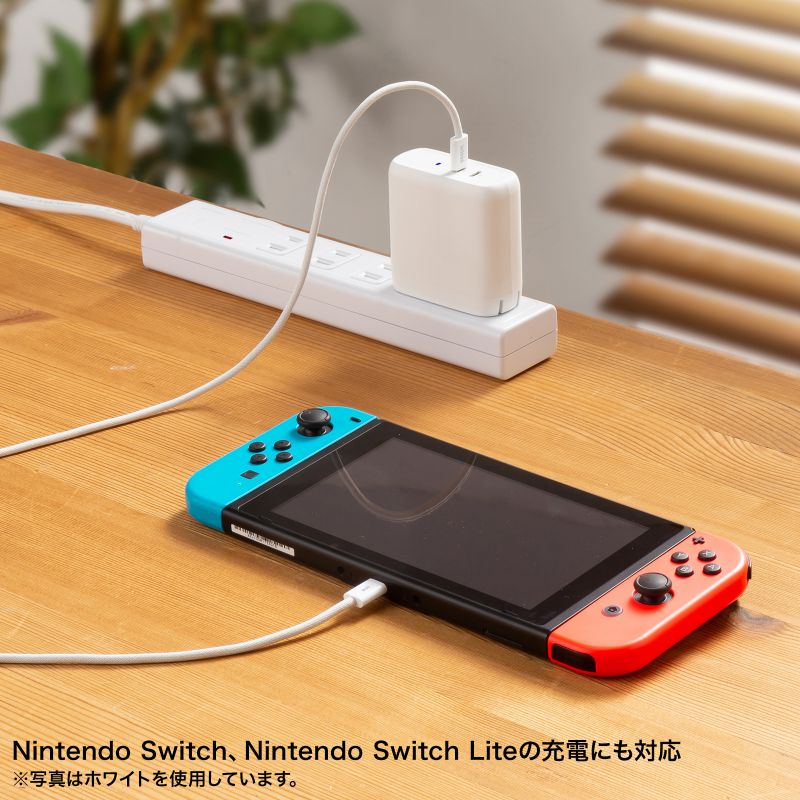 SANWA SUPPLY（サンワサプライ） USB Type-Cケーブル USB PD60W