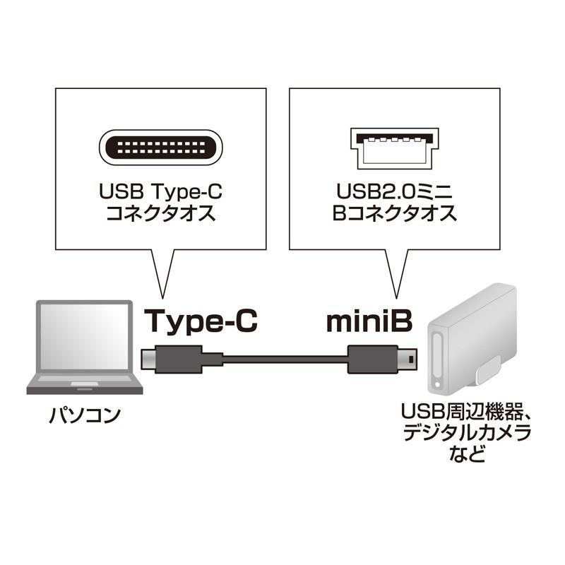 Type Cケーブル miniBコネクタ-Type Cケーブル タイプC 2m USB2.0（KU-CMB20）｜sanwadirect｜02