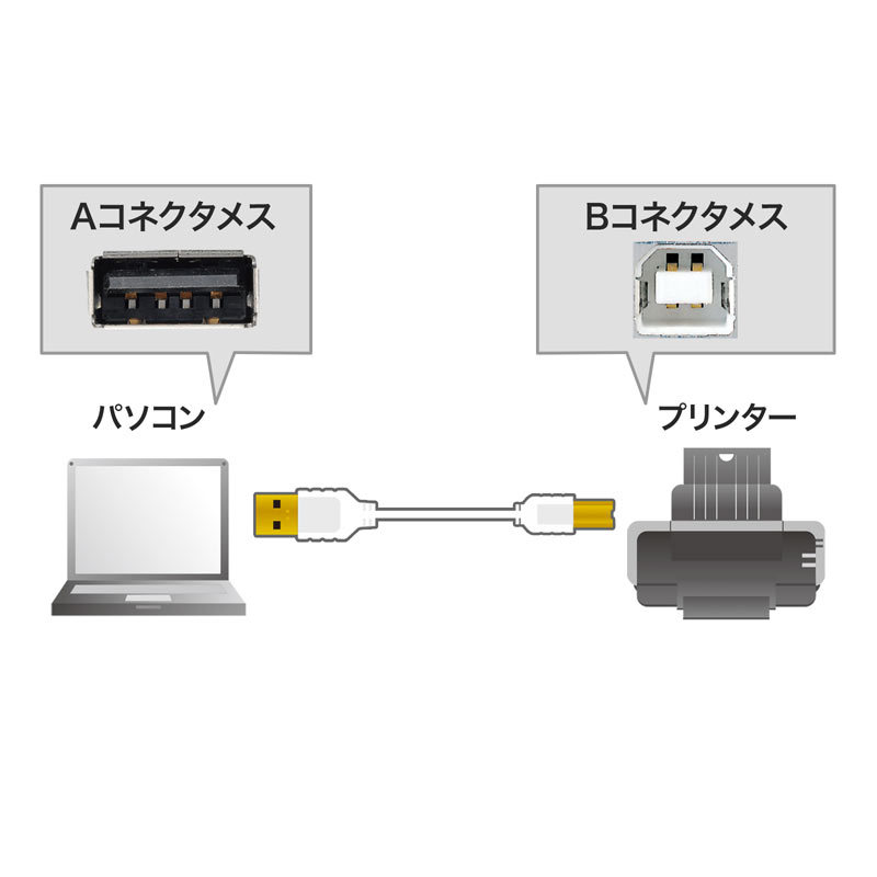 極細USBケーブル USB2.0 A-Bタイプ ホワイト 0.5m（KU20-SL05WK）｜sanwadirect｜05