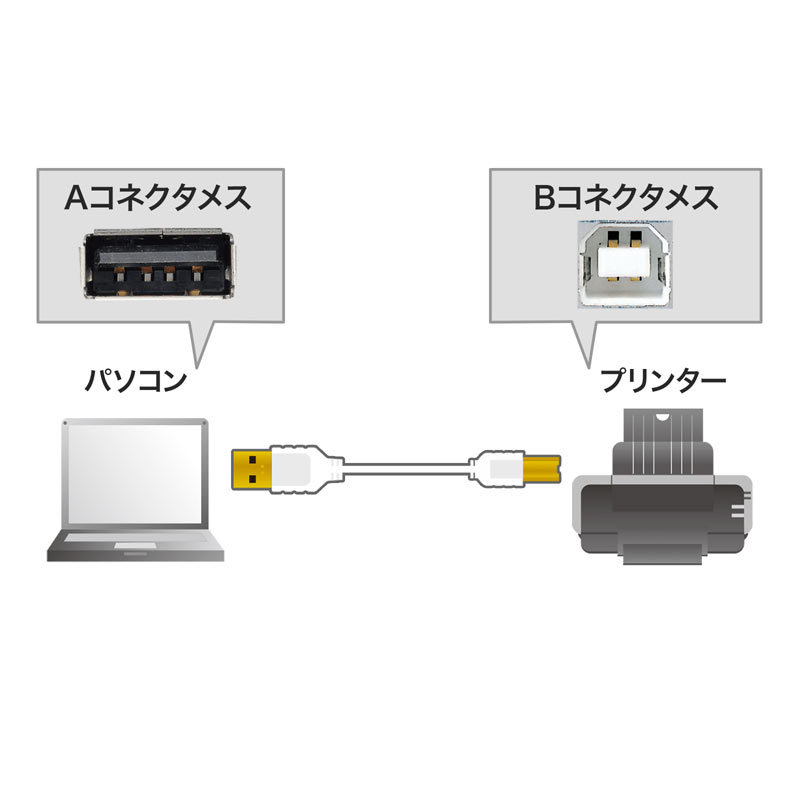 SANWA SUPPLY（サンワサプライ） 極細USBケーブル USB2.0 A-Bタイプ ホワイト 0.5m（KU20-SL05WK ...