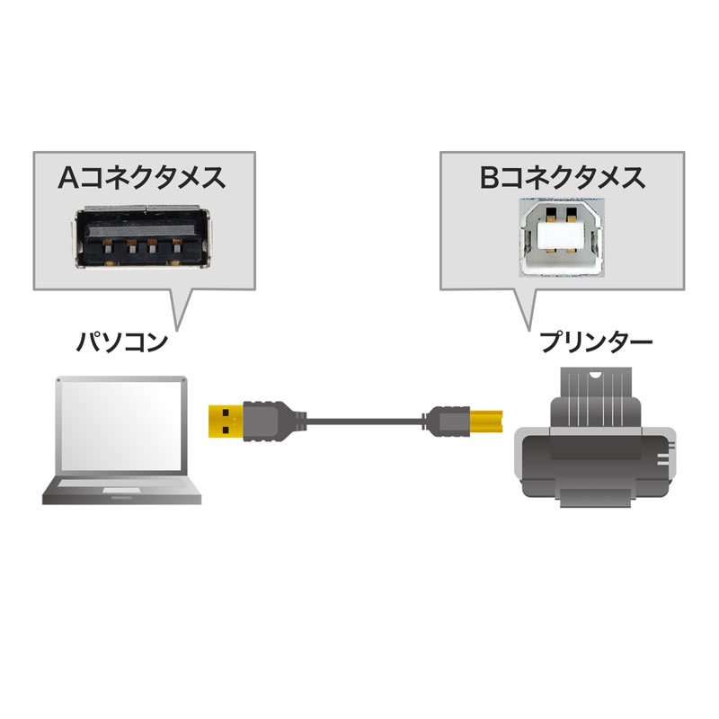極細USBケーブル USB2.0 A-Bタイプ ブラック 2m（KU20-SL20BKK）｜sanwadirect｜05