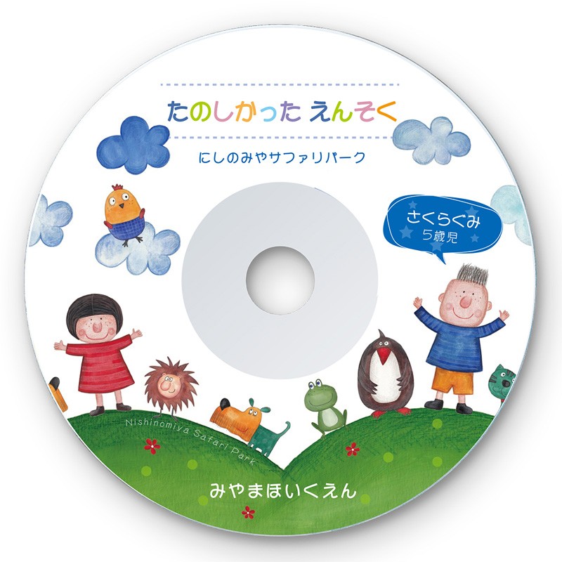 CDラベル DVDラベル 100枚 つやなしマット 内径41mm（LB-CDR001N-100）