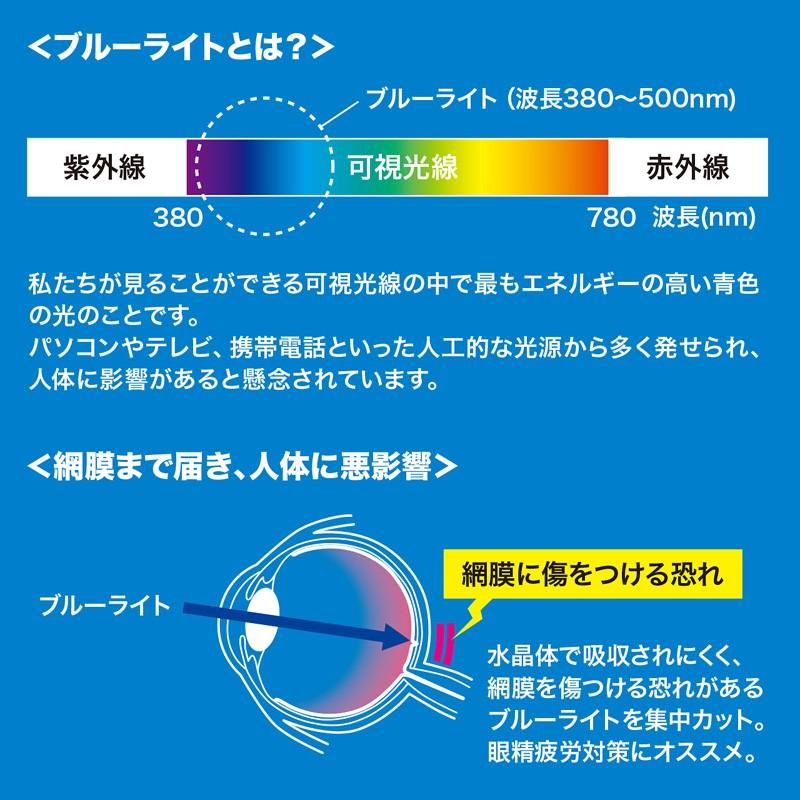 iPad mini 4 フィルム ブルーライトカット 液晶保護指紋反射防止（LCD-IPM4BCAR）｜sanwadirect｜02