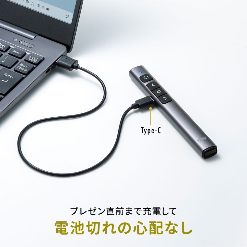 SANWA SUPPLY（サンワサプライ） レーザーポインター 緑 USB充電式