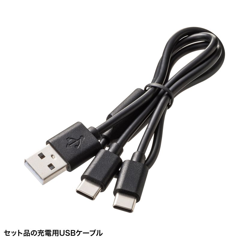 SANWA SUPPLY（サンワサプライ） ワイヤレスマイク マイク2台 ノイズ