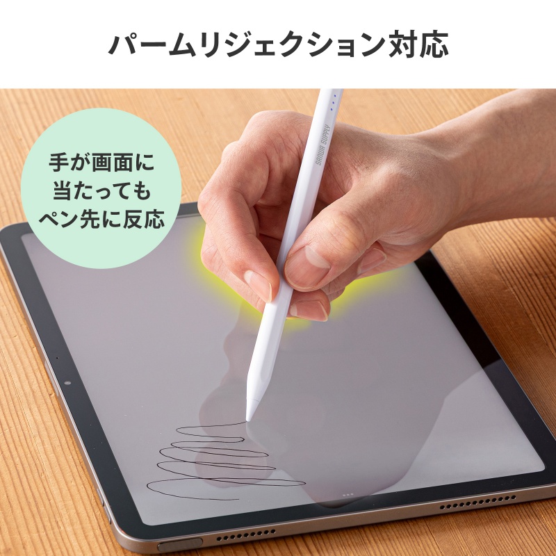 SANWA SUPPLY（サンワサプライ） タッチペン Apple iPad専用 充電式