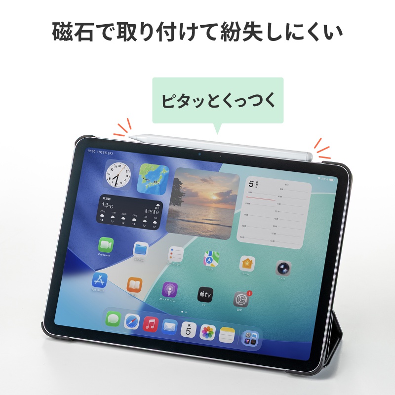 SANWA SUPPLY（サンワサプライ） タッチペン Apple iPad専用 充電式