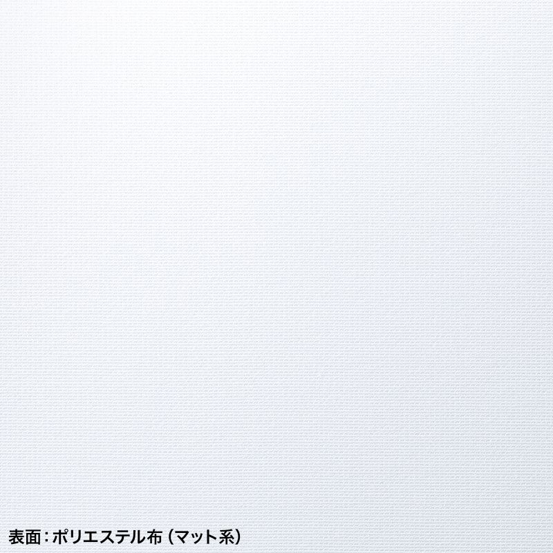 SANWA SUPPLY（サンワサプライ） プロジェクタースクリーン 100インチ