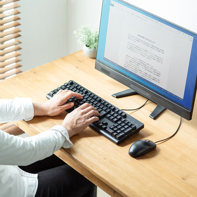 SANWA SUPPLY（サンワサプライ） キーボード 有線 PS/2 テンキーあり