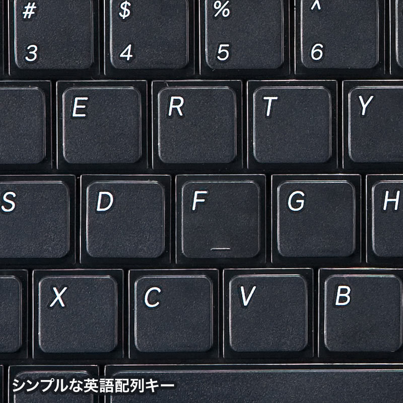 英語配列USBスリムキーボード テンキー付き ブラック（SKB-E2UN）｜sanwadirect｜02