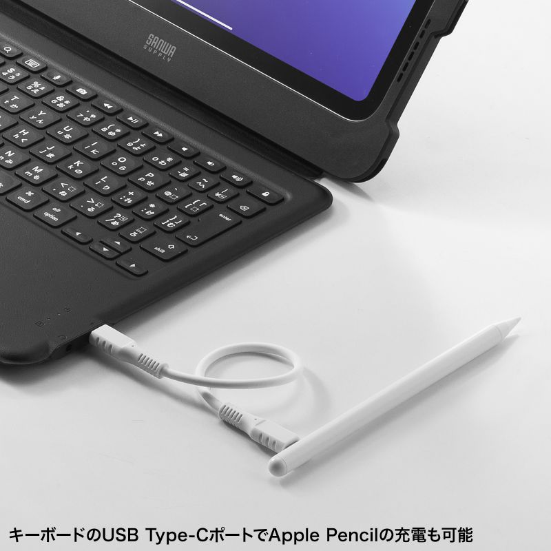 SANWA SUPPLY（サンワサプライ） iPad 第10世代 専用ケース 一体型