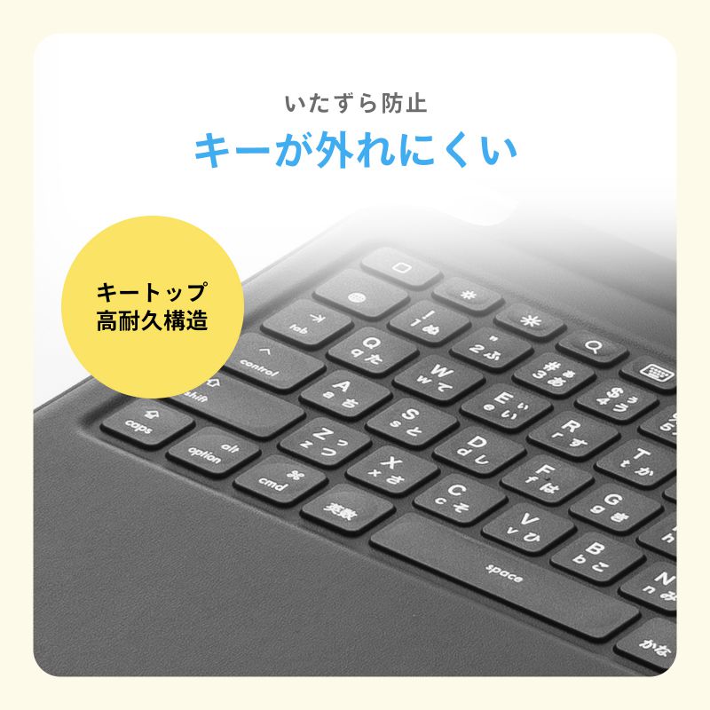 SANWA SUPPLY（サンワサプライ） iPad 第10世代 専用ケース 一体型