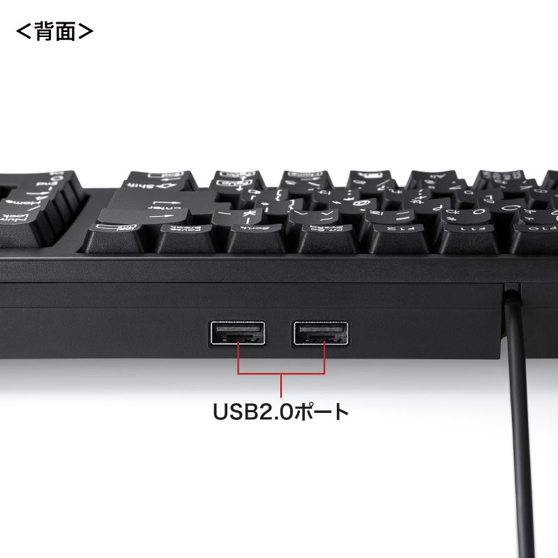 SANWA SUPPLY（サンワサプライ） キーボード 有線 USB A USBキーボード