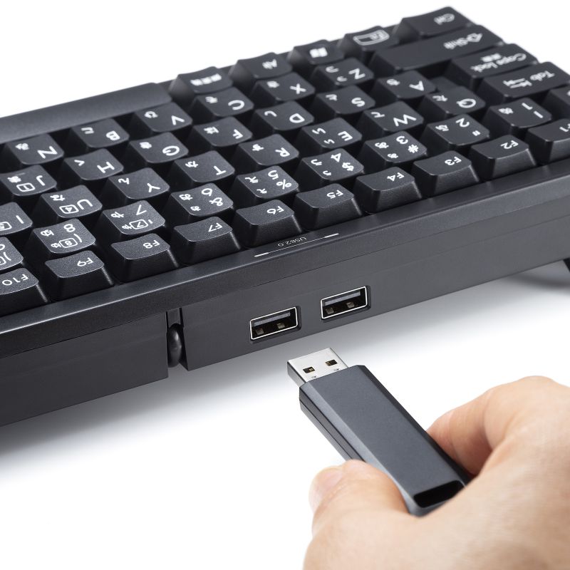 SANWA SUPPLY キーボード 有線 USB A USBキーボード テンキー