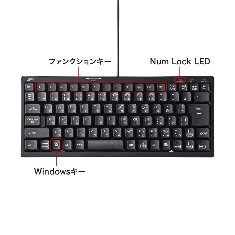 SANWA SUPPLY キーボード 有線 USB A USBキーボード テンキー