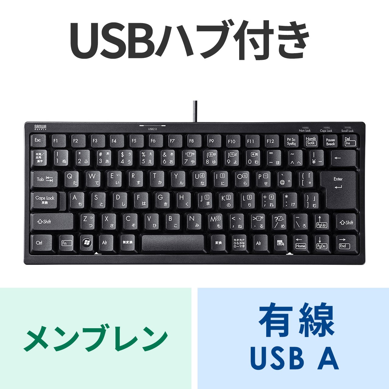 SANWA SUPPLY キーボード 有線 USB A USBキーボード テンキー