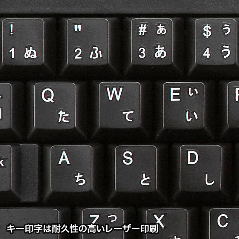 SANWA SUPPLY（サンワサプライ） キーボード 有線 PS/2 テンキーあり