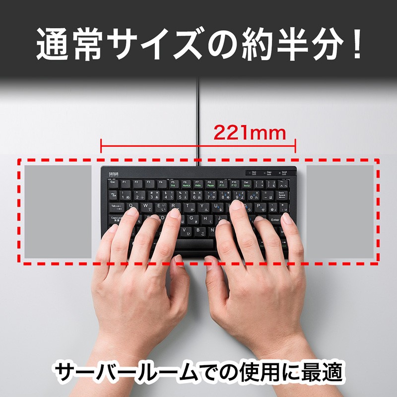 キーボード 有線 USB A USBキーボード テンキーなし パンタグラフ スリム コンパクト 日本語配列(JIS) ブラック SKB-SL28BK