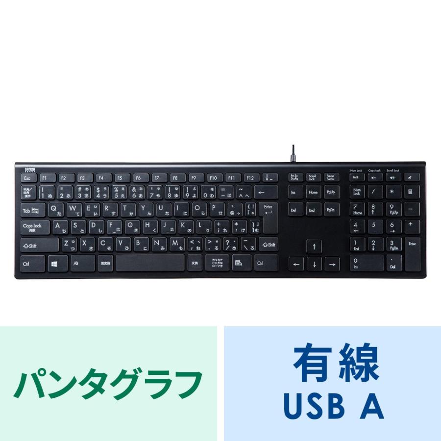 USBスリムキーボード SKB-SL33BK｜sanwadirect
