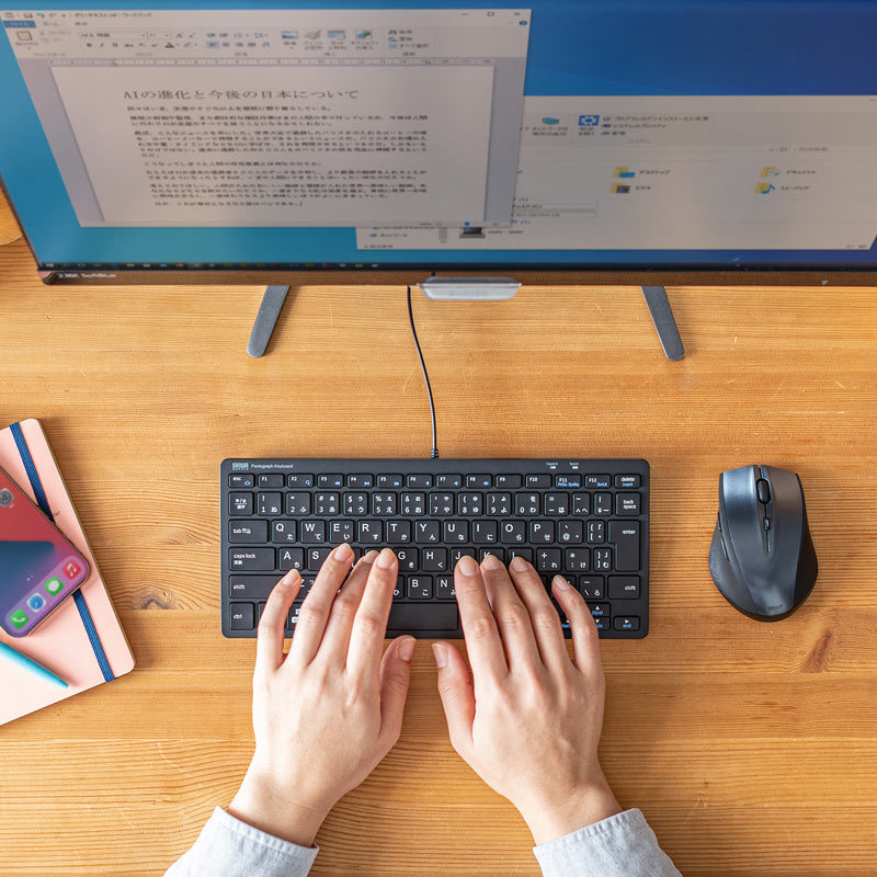 SANWA SUPPLY（サンワサプライ） キーボード 有線 USB A USBキーボード