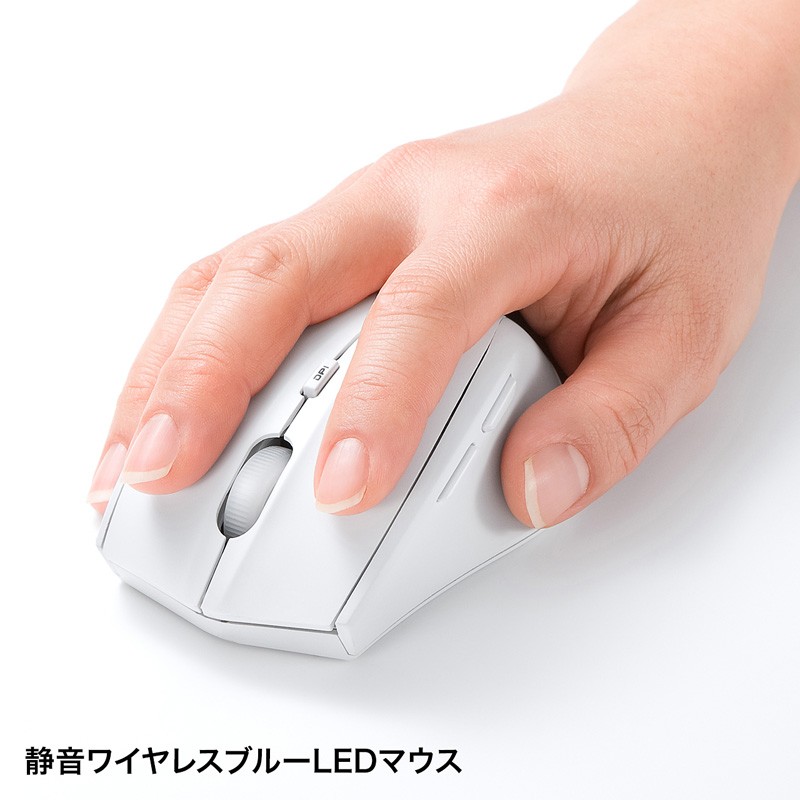 SANWA SUPPLY（サンワサプライ） ワイヤレスキーボード マウスセット