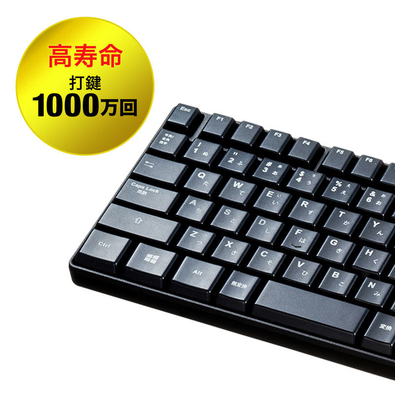 SANWA SUPPLY（サンワサプライ） ワイヤレスキーボード マウスセット