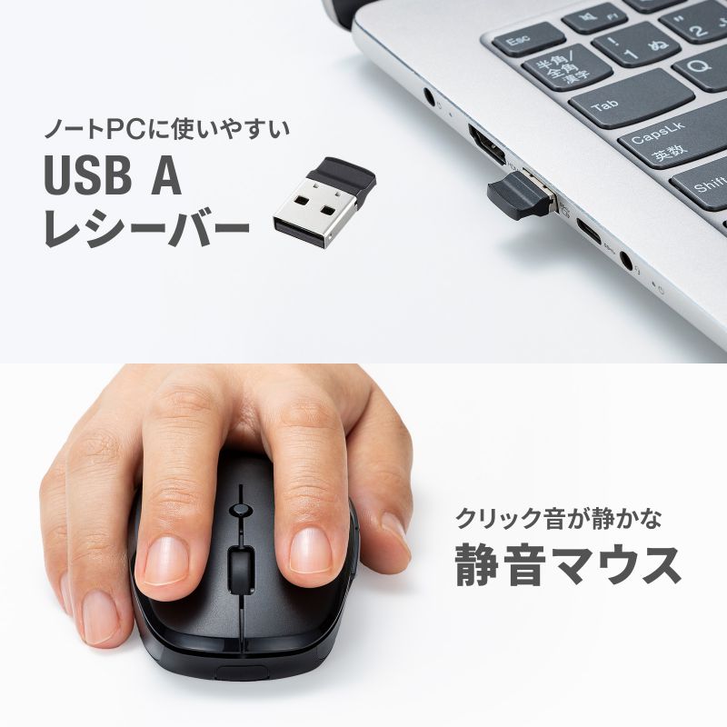 SANWA SUPPLY（サンワサプライ） ワイヤレスキーボード マウスセット