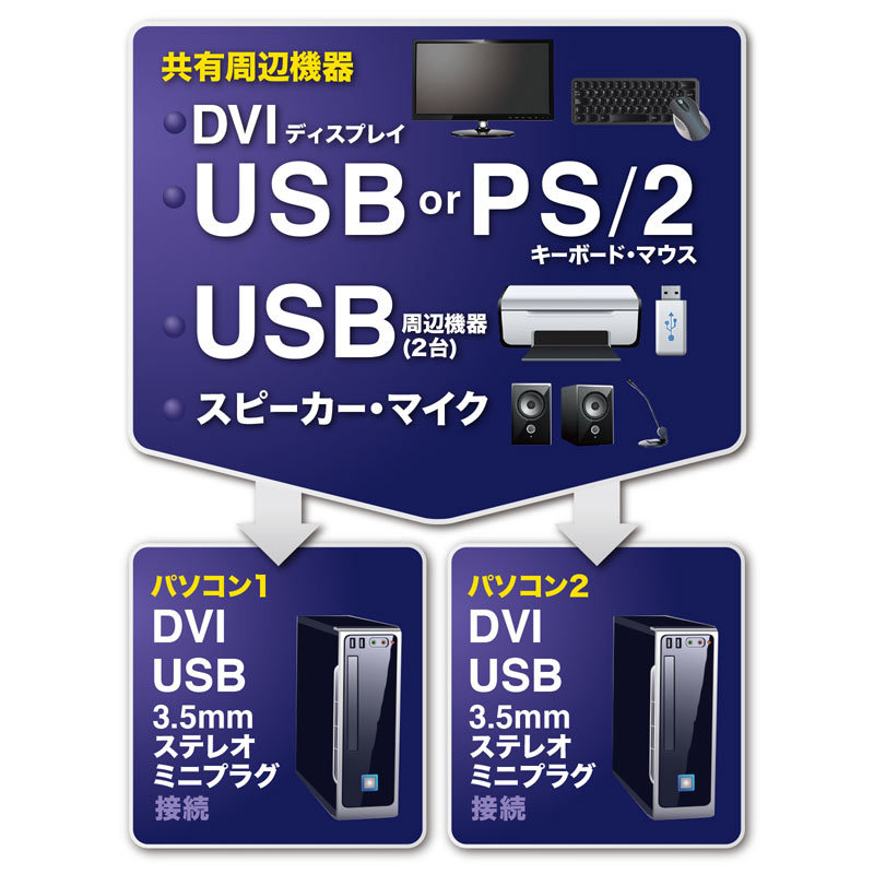 SANWA SUPPLY デュアルリンクDVI対応パソコン自動切替器 2：1