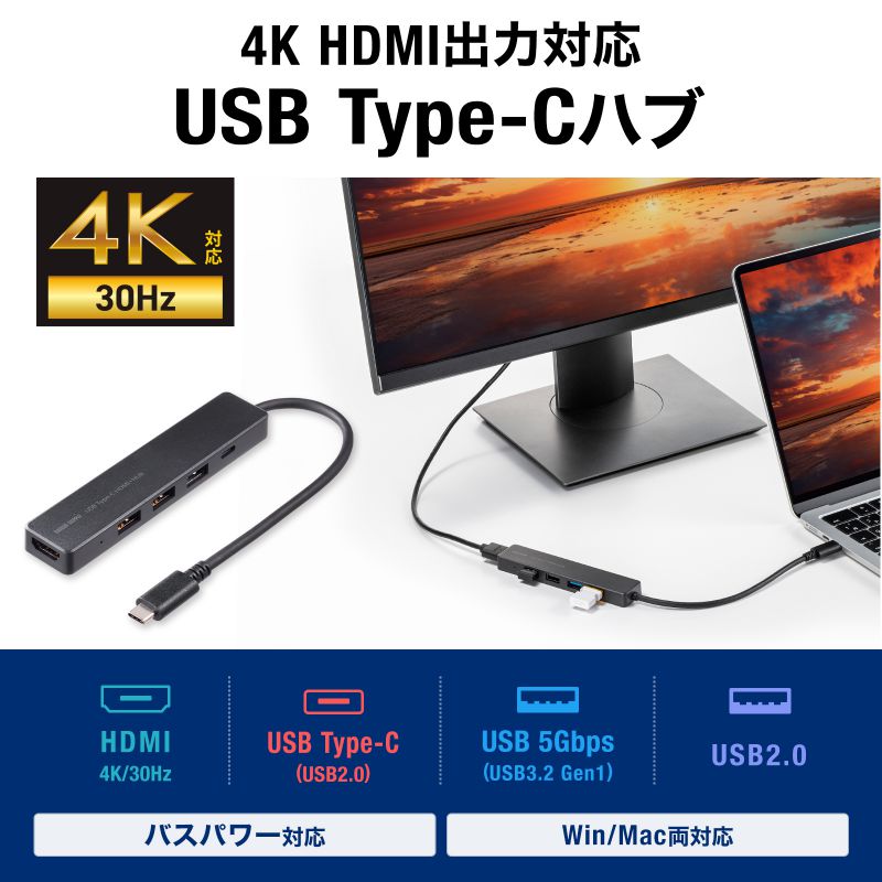 SANWA SUPPLY（サンワサプライ） USB Type-C ドッキングステーション