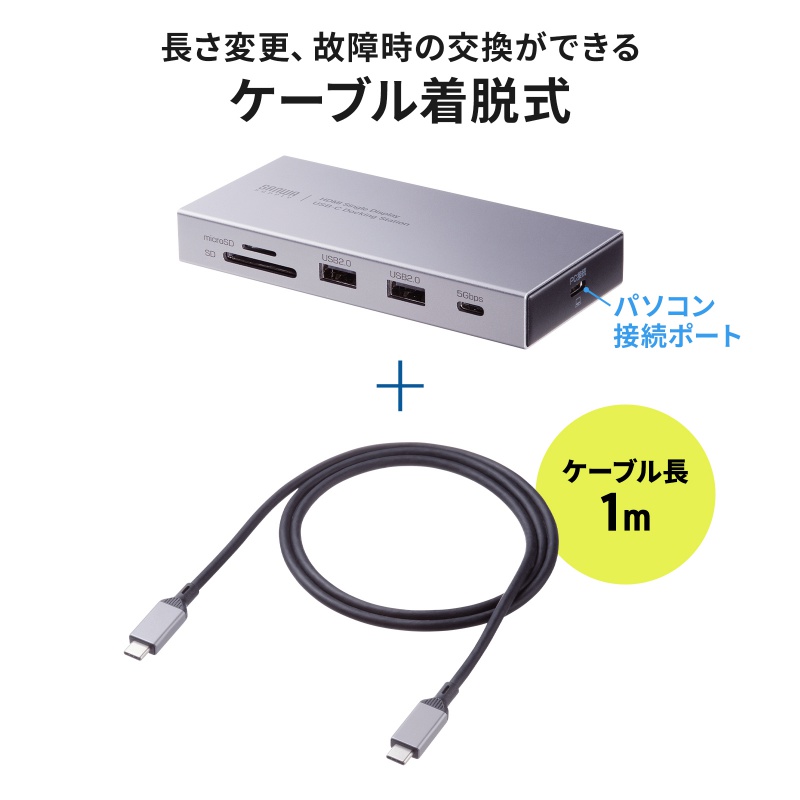 SANWA SUPPLY（サンワサプライ） ドッキングステーション Type-C 10-in