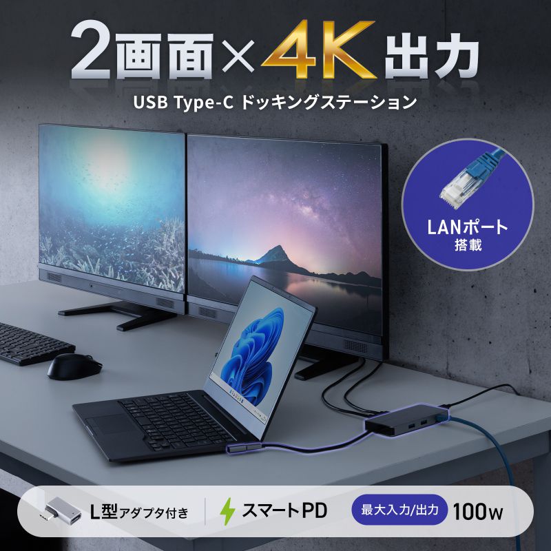 SANWA SUPPLY（サンワサプライ） ドッキングステーション USB-C HDMI