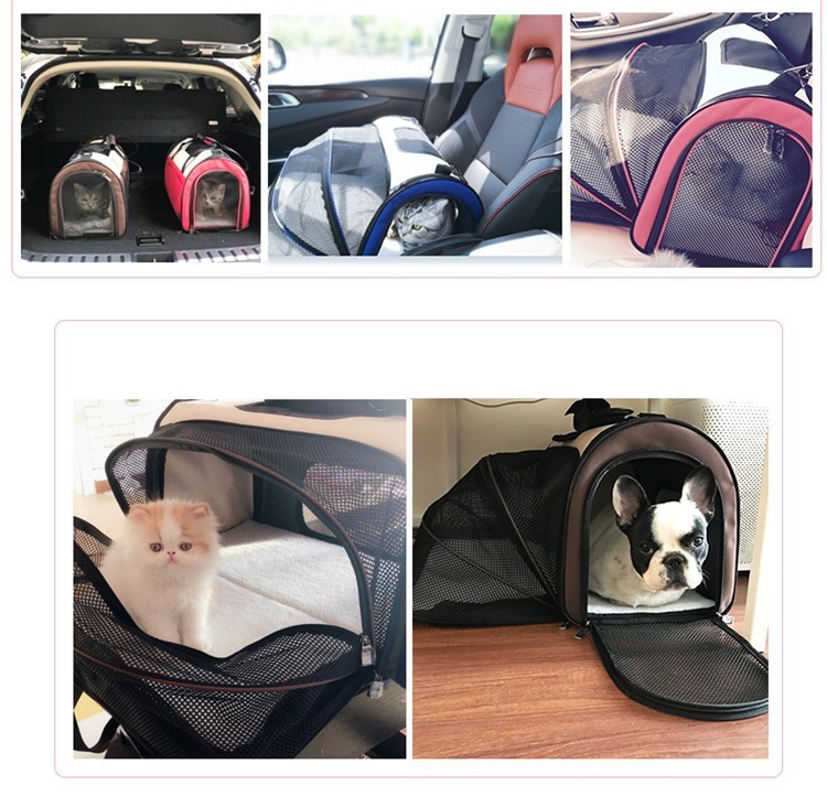 ペットキャリーバッグ 小型犬用 バックパック バッグ ペット キャリア