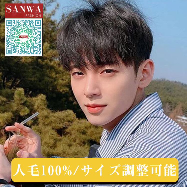 人毛100％ メンズウィッグ フルウィッグ 男性用ウイッグ 耐熱